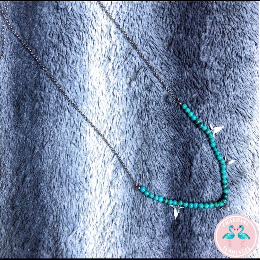 Longhorn Turquoise Necklace